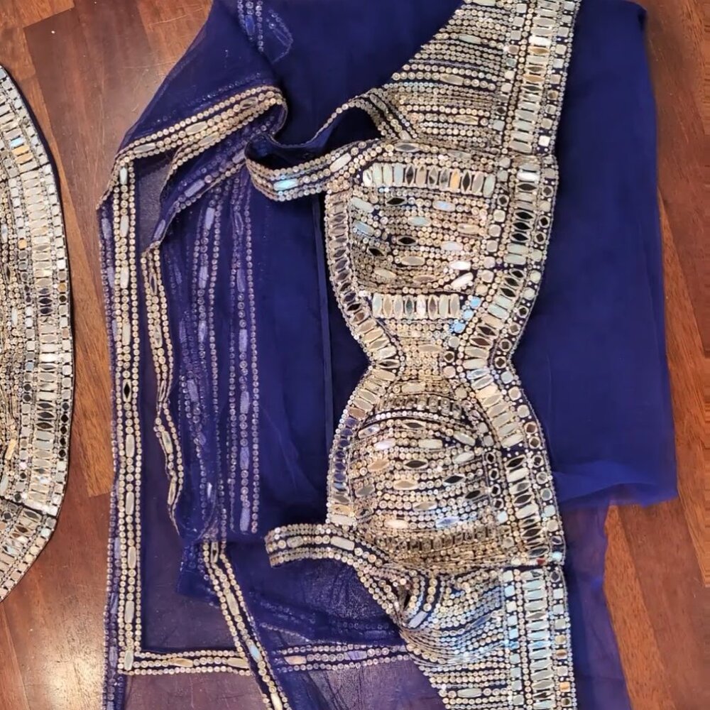 Stunning royal purple mirror lehenga choli w net dupatta - Picture 4 of 6